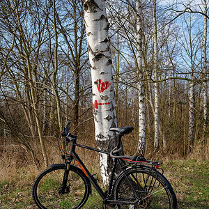 Fahrrad 03: Hufewiesen in Dresden