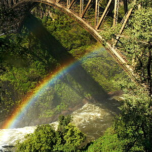 Regenbogen