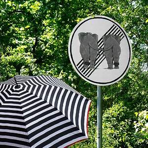 Überholverbot für Elefanten