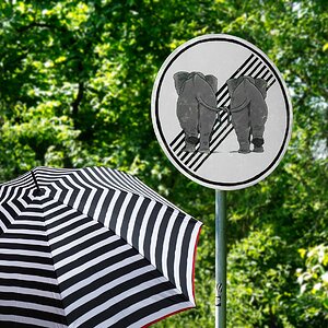 Überholverbot für Elefanten II