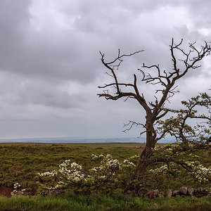 Entlang des Hadrianwalls