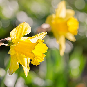 Endlich Frühlingssonne