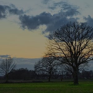 Im letzten Licht