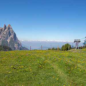 Frühling-auf-der-Alm.jpg