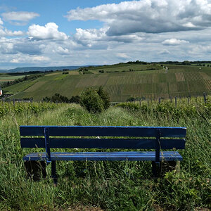 Weitblick