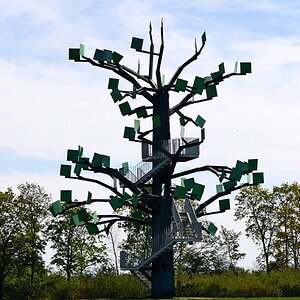 Eisenbaum von Flörsheim