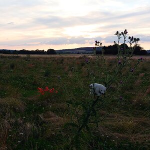 Hinter dem Deister