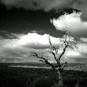 Death Valley