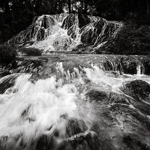 Wasser-Wald