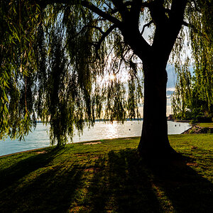 Schatten-Blick zum Bodensee