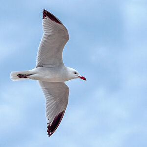 Vorbeiflug