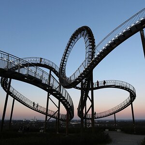Tiger and turtle.jpg
