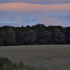 Abendstille