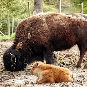 Mama passt auf :)