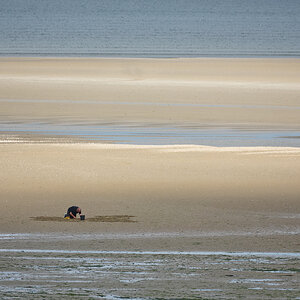 Pêcheur à pied