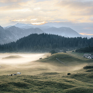 Morgennebel auf der Alm