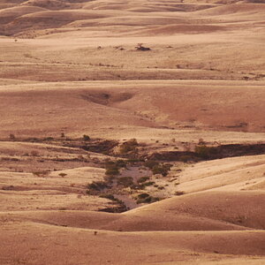 Wasserlauf in der Namib 2