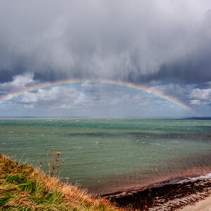 Regenbogen