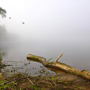 ein Morgen am See