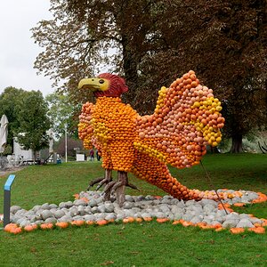 Auf der EGA in Erfurt aufgenommen