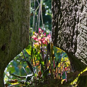 Ein Platz an der Sonne