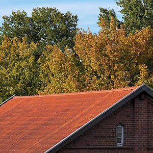 "Herbst?! Hinter meinem Rücken?!"