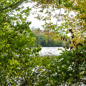 Herbstfenster