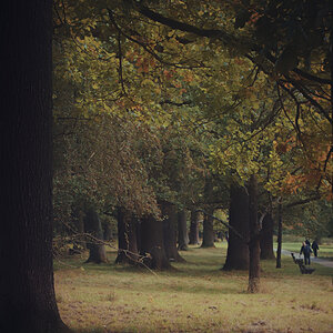 Huthewald