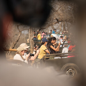 Ranthambore Nationalpark in Indien II.jpg