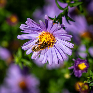 Sommer trifft Herbst