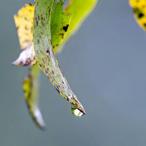 Herbstfarben