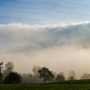 Frühnebel