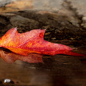 Herbstfeuer