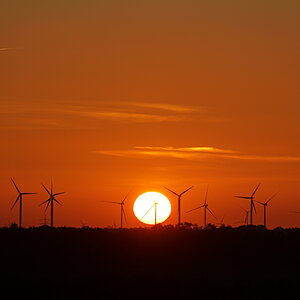 Windkraftpark bei Sonnenuntergang