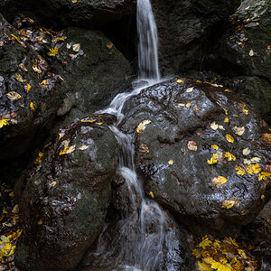 Zipfelbach im Herbst