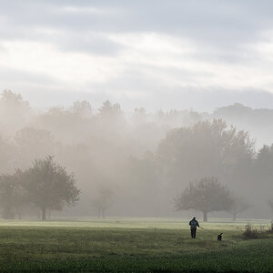 morgens mit dem Hund