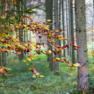 Herbstfarben