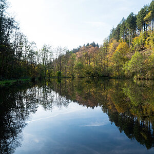 Waldsee