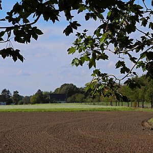 Herbstlicher Ausblick