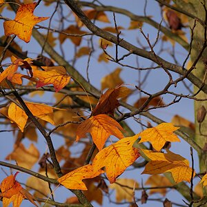 Sonniger Augenblick