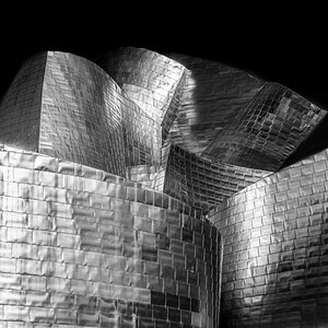 Guggenheim Museum Bilbao _06SW.jpg