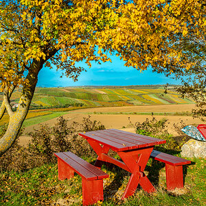 Falkenstein_Ausblick.jpg