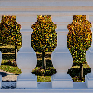 Schloss_Hof_Balustrade.jpg