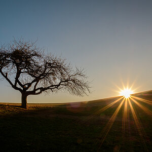 Wintersonne im Fischbachtal/Odenwald