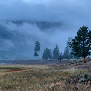 Morgennebel