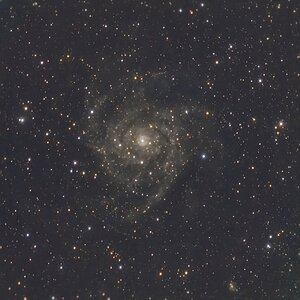 Die verborgene Galaxie  IC 342 / C5