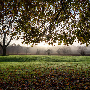 Morgens im Park