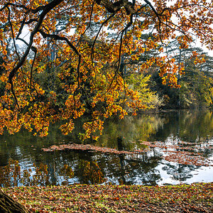 Herbstfarben.jpg