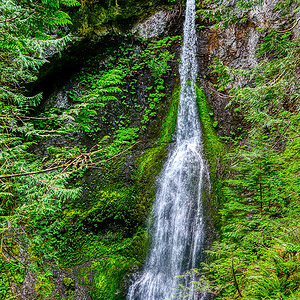 Marymere Falls