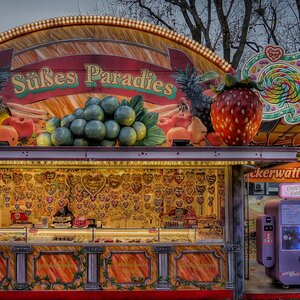 Paradies?  Prater im Winter 5